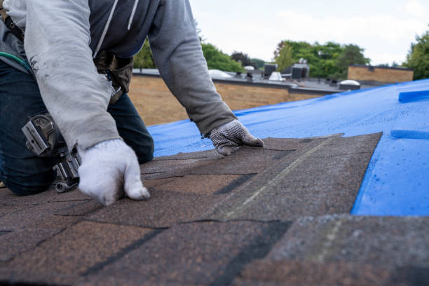 Best New Roof Installation  in Homer, GA