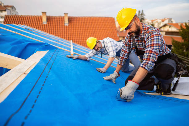 Best Metal Roofing Contractor  in Homer, GA