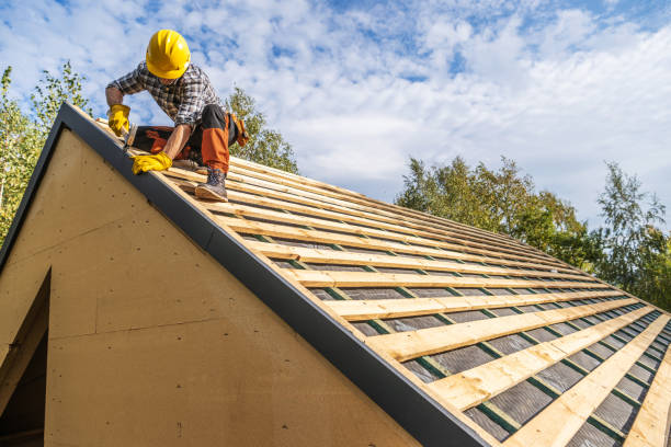 Best Roof Replacement Cost  in Homer, GA