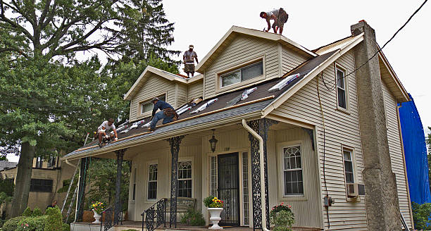 Best Roof Repair Services  in Homer, GA