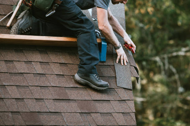 Best Storm Damage Roof Repair  in Homer, GA